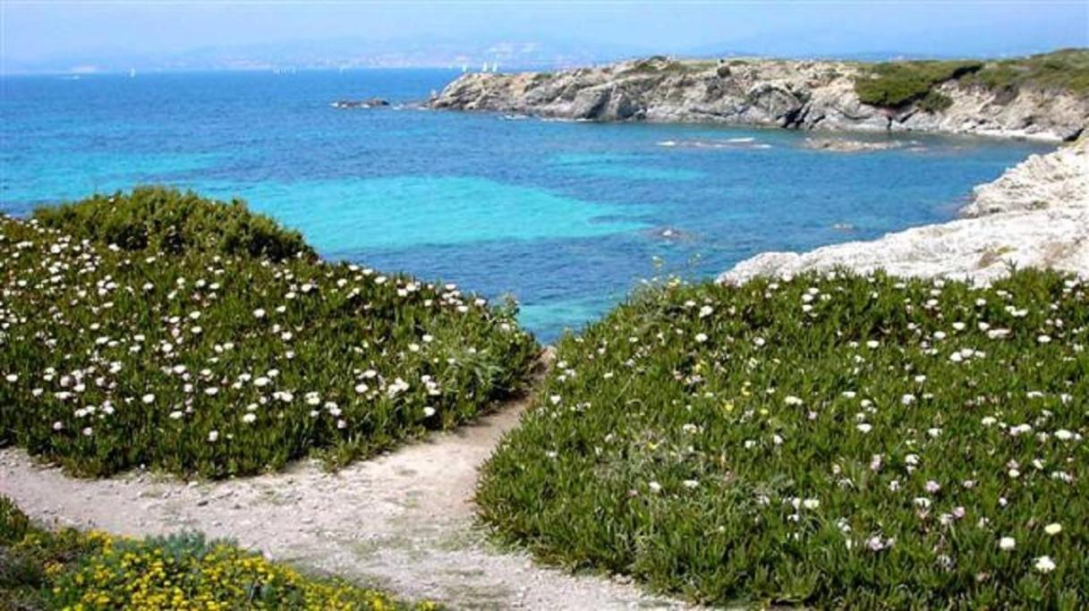 Villa Spacieuse, Climatisation, Piscine, Jardin Paysage, Proche Mer Saint-Cyr-sur-Mer Luaran gambar